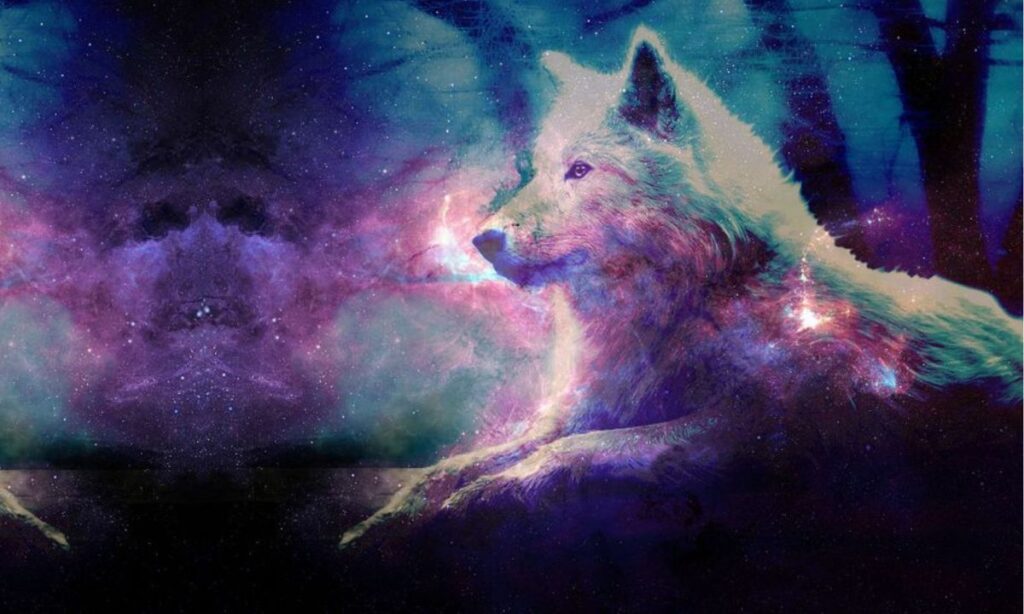 Unique Features of GalaxyOG4ALZGMVOG= Wolf